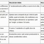 Come riconoscere una pelliccia vera da una sintetica