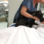 Il cane Nello visita il suo umano in terapia intensiva