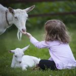 L’educazione al rispetto per gli animali entra nelle scuole