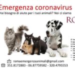 Coronavirus, a Roma una task force di volontari per gli animali