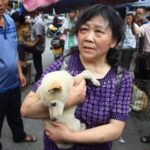 Cina, ancora in programma il festival della carne di Yulin