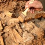 I resti del più antico cane italiano scoperti in Puglia