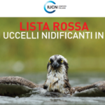 Online la seconda Lista rossa degli uccelli nidificanti in Italia